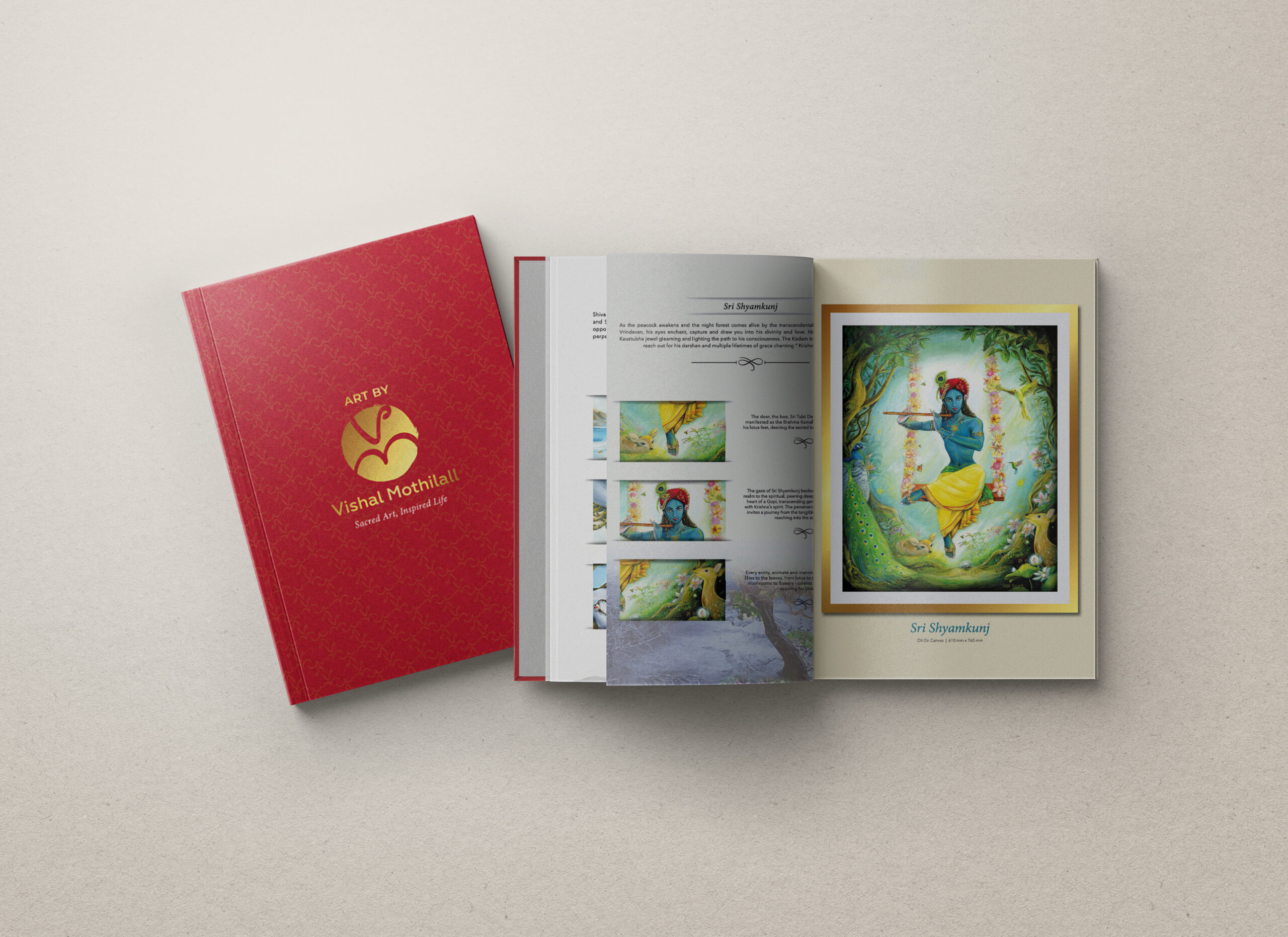 VISHAL MOTHILALL COFFEE TABLE BOOK - Image 2